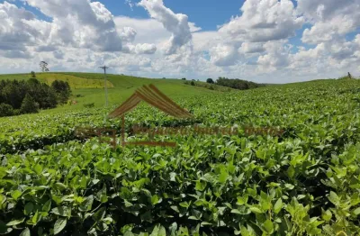 Chácara / sítio à venda na Zona Rural, São Miguel Arcanjo 