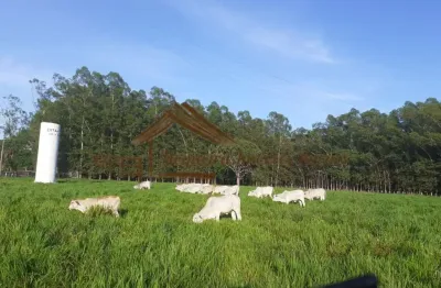 Chácara / sítio à venda na Zona Rural, Terenos 