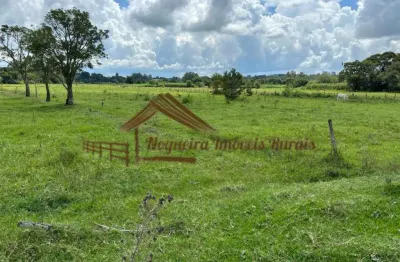 Chácara / sítio à venda na Zona Rural, Quadra 