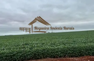 Fazenda para venda em itapeva, área rural de itapeva