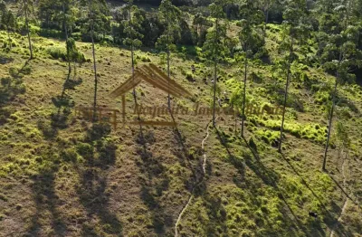 Chácara / sítio à venda na Zona Rural, Guareí 