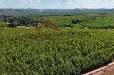 Fazenda à venda na Área Rural, Área Rural de Bauru, Bauru