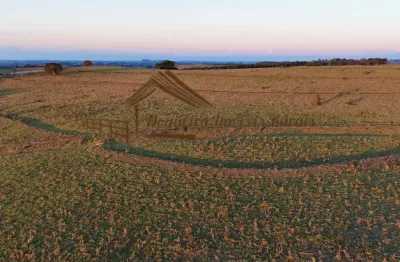 Fazenda à venda na Zona Rural, Bofete 