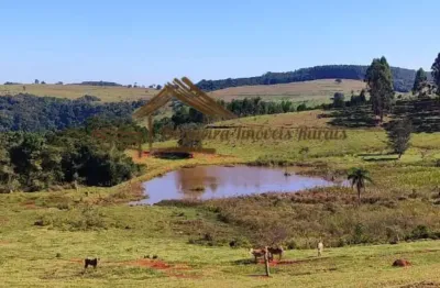 Fazenda para venda em botucatu, área rural de botucatu