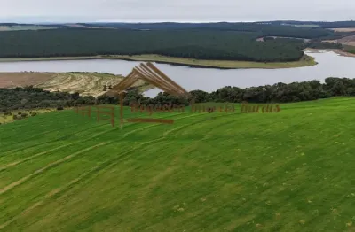 Fazenda à venda na Área Rural de Avaré, Avaré 