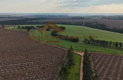 Fazenda à venda na Área Rural de Avaré, Avaré 