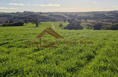 Fazenda para venda em itapetininga, área rural de itapetininga