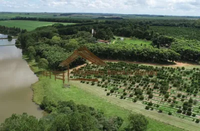 Fazenda à venda na Área Rural de Avaré, Avaré 