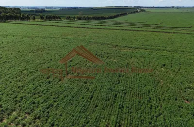 Fazenda à venda na Área Rural de Avaré, Avaré 
