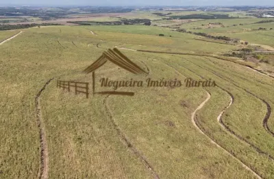 Fazenda à venda na Área Rural de Avaré, Avaré 