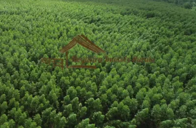 Fazenda à venda na Área Rural de Avaré, Avaré 