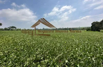 Chácara / sítio à venda na Área Rural de Avaré, Avaré 