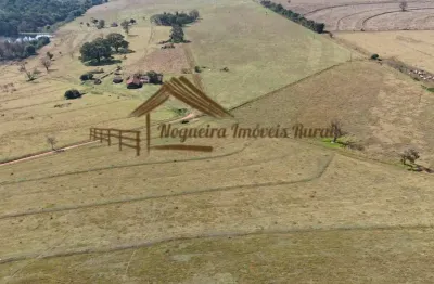 Fazenda à venda na Área Rural de Avaré, Avaré 