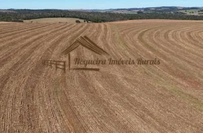 Fazenda à venda na Área Rural de Avaré, Avaré 