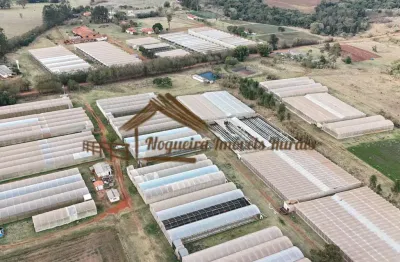 Chácara / sítio à venda na Área Rural de Avaré, Avaré 
