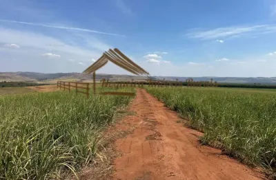 Fazenda à venda na Área Rural de Avaré, Avaré 