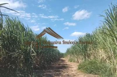 Fazenda à venda na Área Rural de Ourinhos, Ourinhos 