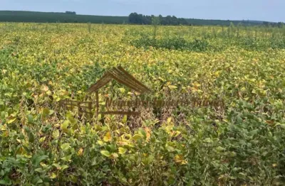 Fazenda à venda na Área Rural de Avaré, Avaré 