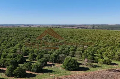 Fazenda à venda na Área Rural de Avaré, Avaré 