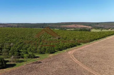 Fazenda à venda na Área Rural de Avaré, Avaré 