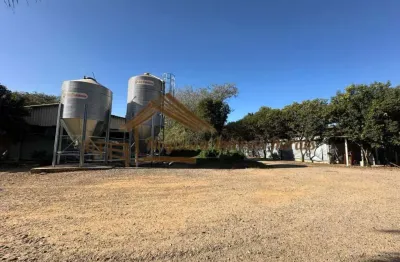 Chácara / sítio à venda na Área Rural de Tatuí, Tatuí 