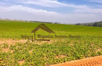 Fazenda à venda na Área Rural de Avaré, Avaré 