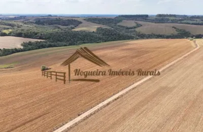 Fazenda para venda em itapetininga, área rural de itapetininga