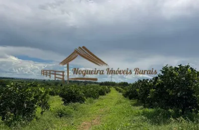 Fazenda para venda em fernandópolis, área rural de fernandópolis
