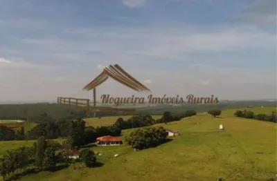 Fazenda para Venda em Itapetininga, Área Rural de Itapetininga
