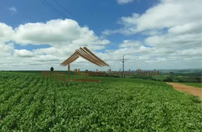 Chácara / sítio à venda na Área Rural de Avaré, Avaré 