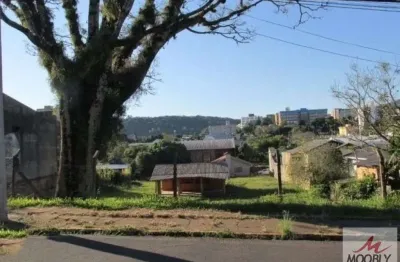 Terreno à venda na Novo Hamburgo-rs, Vila Nova, Novo Hamburgo