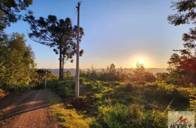Excelente area de terras para construir perto do centro de nova petropolis-rs.