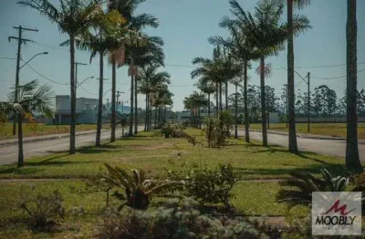 Lote a venda em condominio fechado reserva da figueira- arroio teixeira-rs.