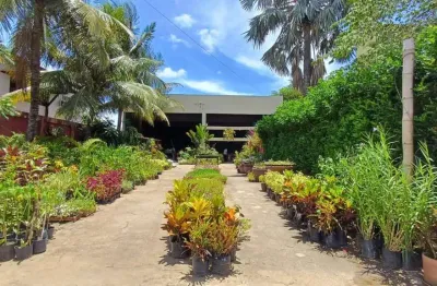 Ponto comercial para venda em araruama, coqueiral, 2 banheiros