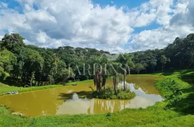 Fazenda à venda na Estrada De Bocaiuva, -, Zona Rural, Bocaiúva do Sul