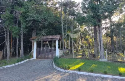 Chácara / sítio com 2 quartos à venda na Rodovia José Taverna (Ant. Estrada Da Roseira), 72, Roseira, Campina Grande do Sul