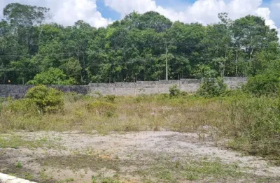 Terreno à venda na Rua Thales Loureiro, 657, Ponta Negra, Manaus