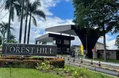 Lote forrest hill  com 290 m2 ,10x 29 todo plano pronto pra construir