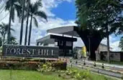 Lote forrest hill  com 290 m2 ,10x 29 todo plano pronto pra construir
