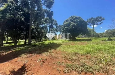 Terreno à venda, 66757 m² por r$ 3.300.000,00 - chapada - ponta grossa/pr