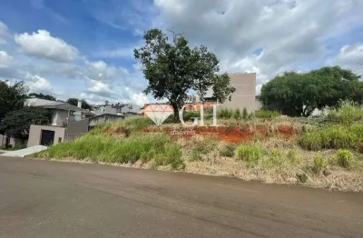 Terreno à venda na Rua João Maurício Faivre, Estrela, Ponta Grossa
