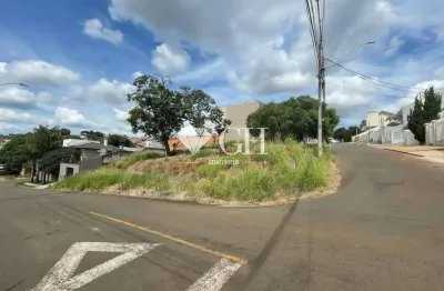 Terreno à venda no Estrela, Ponta Grossa 