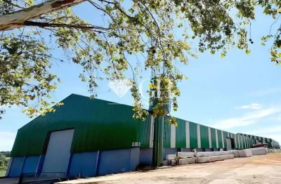 Casa comercial para alugar no Cará-cará, Ponta Grossa 