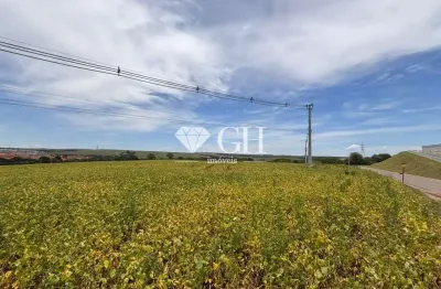 Terreno à venda no Jardim Carvalho, Ponta Grossa 