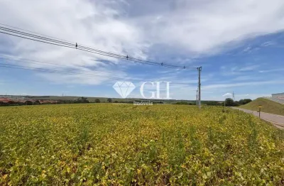 Terreno comercial à venda no Jardim Carvalho, Ponta Grossa 
