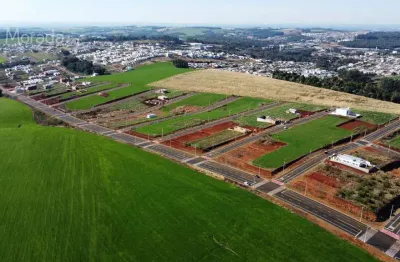 Terreno à venda no Fraron, Pato Branco 