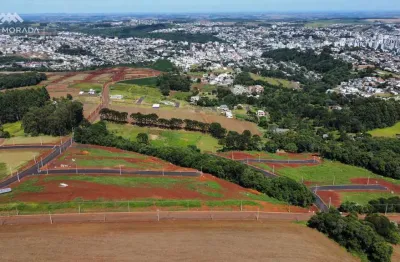 Lotes a venda no jardins das orquideas - localizado no bairro parque do som