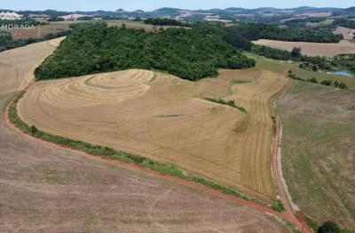 Area rural a venda na cidade de pato branco - linha rio caçadorzinho