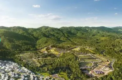 Terreno à venda, 443 m² por r$ 1.150.000 - vila suissa - mogi das cruzes/sp