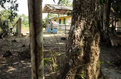 Terreno à venda, 710000 m² por r$ 850.000,00 - zona rural - iranduba/am